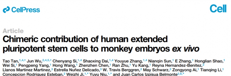 这名科学家造出了人-猴混合胚胎他想解决什么问题